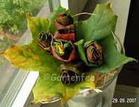 Ein Strauss aus Ahornblättern