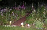 2006 Fingerhutflut bei Nacht