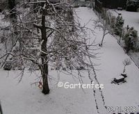 Das Beet im Januar 2008