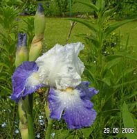 Jurassic Park   -   Foto von 2006