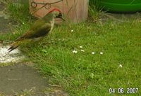 Die Drei von der Tankstelle ?