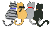 4 Katzen