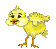 chick9
