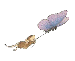 mausbutterfly
