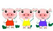3 Schweine