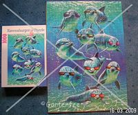 Delfine mit Sonnenbrillen