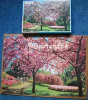 Park mit blhenden Bumen