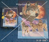 ein Leuchtpuzzle mit Wolfmotiv - Puzzle ist weg