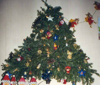 Tannengrn an der Wand