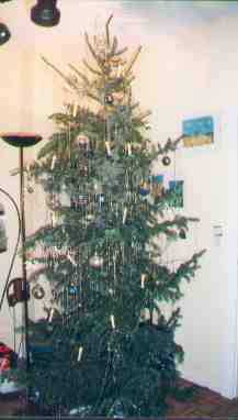 Unser Baum 1997