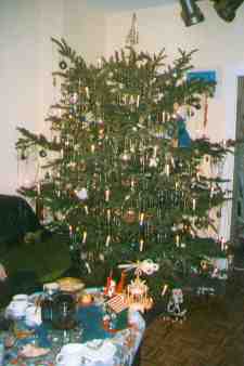 Unser Baum 1998