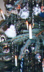 Ausschnitt von Baum 99